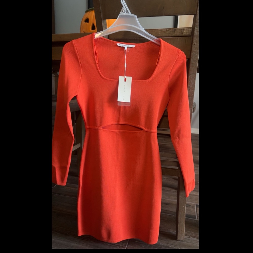 Endless Rose Bold Orange Garment